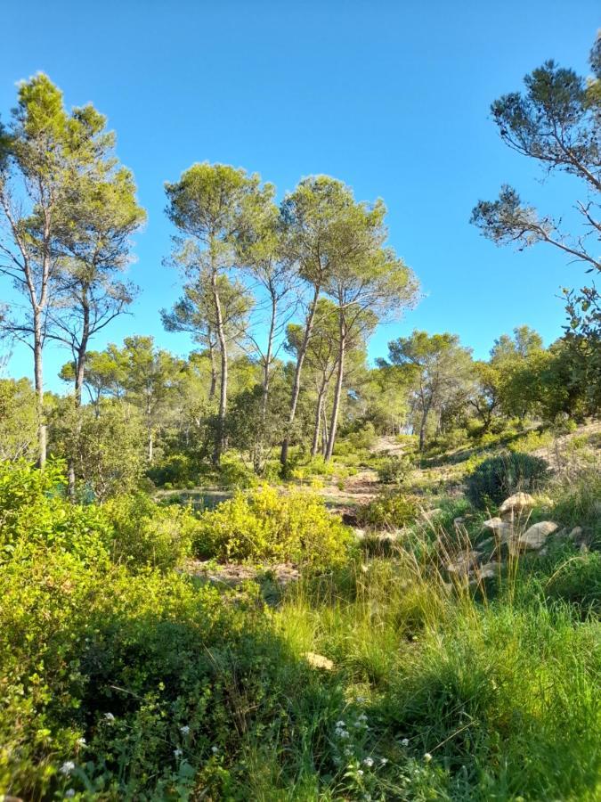 Studio Du Roc Des Garrigues Langlade 외부 사진
